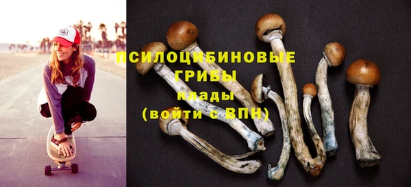 СК Зеленодольск