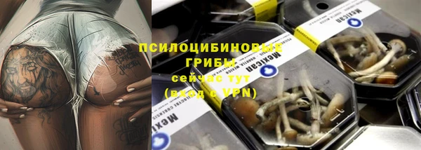 прущие крисы Заволжск