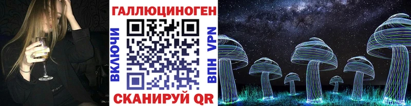 Купить где  Зубцов  Галлюциногенные грибы мицелий 